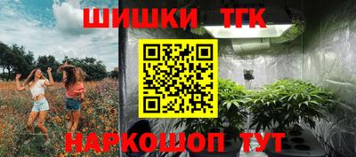 твердый Камышлов