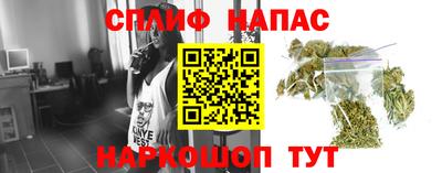 твердый Камышлов
