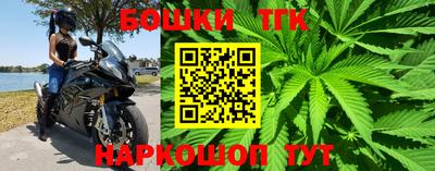 твердый Камышлов