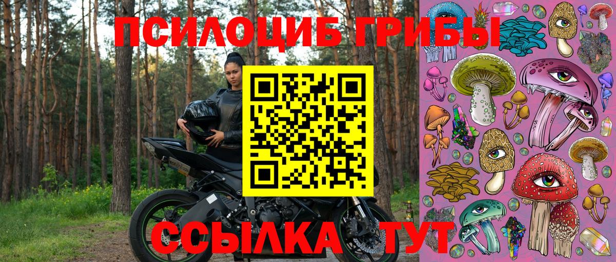 Псилоцибиновые грибы GOLDEN TEACHER Красногорск