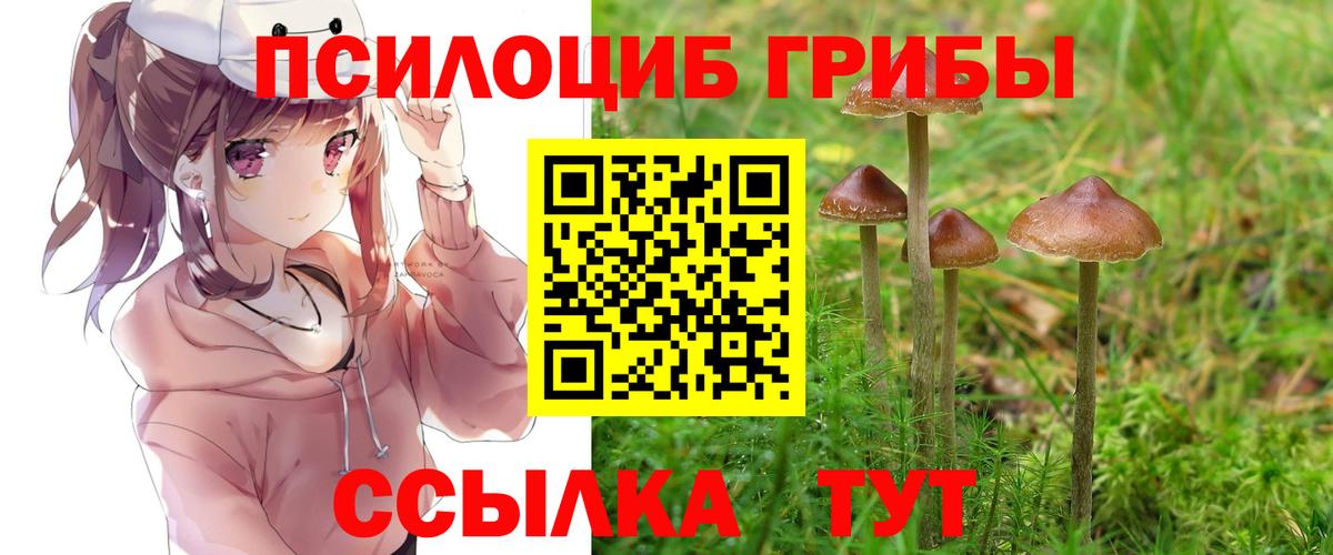 Галлюциногенные грибы Psilocybine cubensis  Вход с VPN  Красногорск 