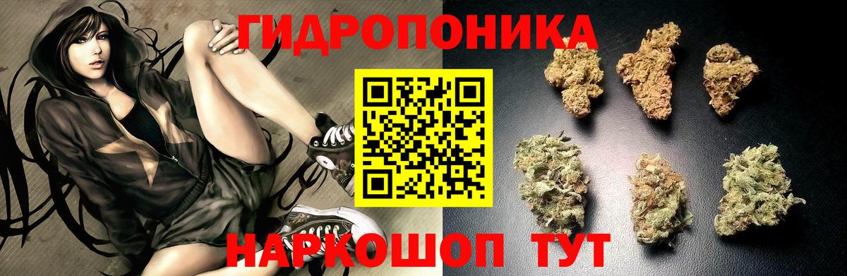 Бошки марихуана планчик Красногорск
